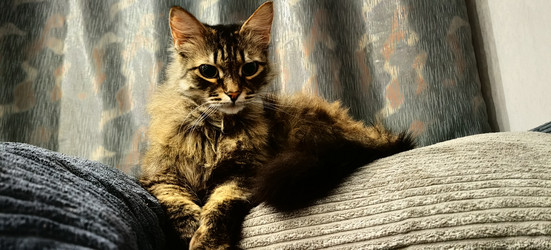 Similar image 21990516