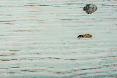 Similar image 21990517