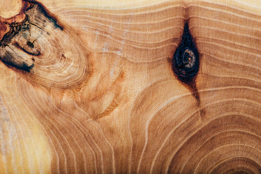 Similar image 21990518