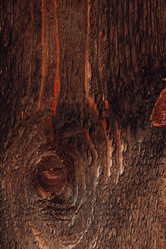 Similar image 21990539