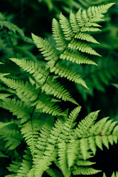 Similar image 21990542