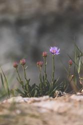 Similar image 21990552