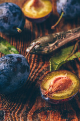 Similar image 21990561