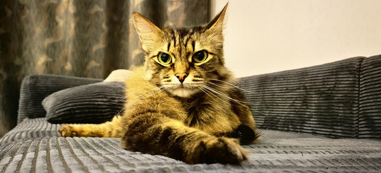 Similar image 21990624