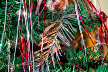 Similar image 21990780