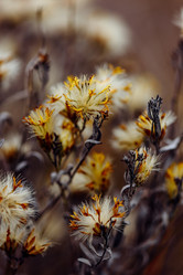 Similar image 21990973