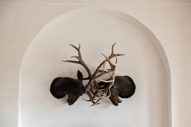 Similar image 21991541