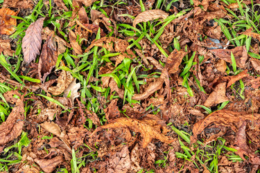 Similar image 21991547