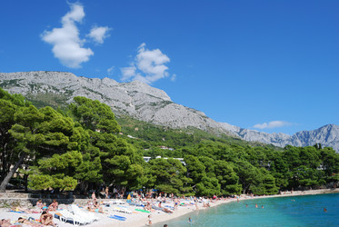 Similar image 21991559