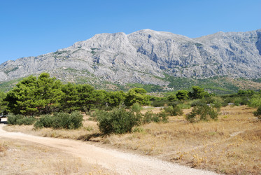 Similar image 21991761