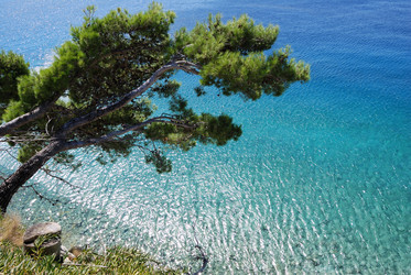 Similar image 21991783