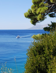 Similar image 21991784