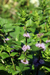 Similar image 21991563