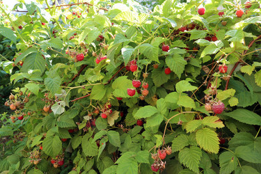 Similar image 21991564