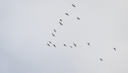 Similar image 21991790