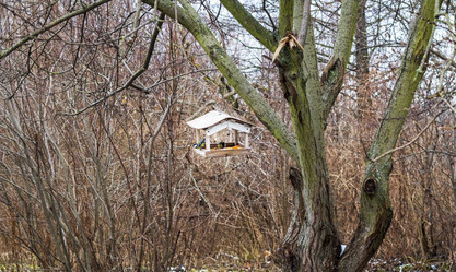 Similar image 21991791