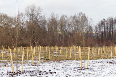 Similar image 21991800