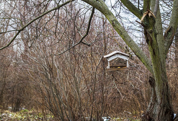 Similar image 21991805