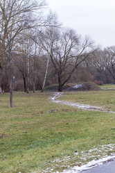 Similar image 21991809