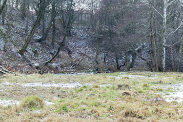 Similar image 21991813