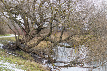 Similar image 21991828