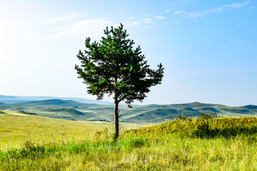 Similar image 21991831