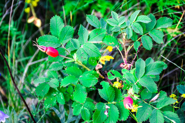 Similar image 21991832