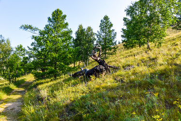 Similar image 21991833