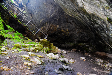 Similar image 21991835