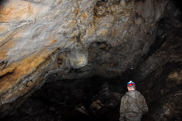 Similar image 21991841