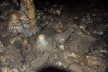 Similar image 21991854