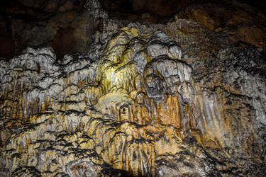 Similar image 21991863