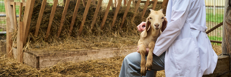 Similar image 21983862