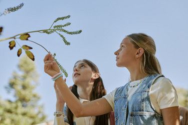 Similar image 21982643