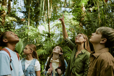 Similar image 21982717