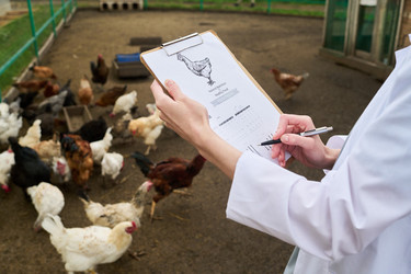 Similar image 21983715