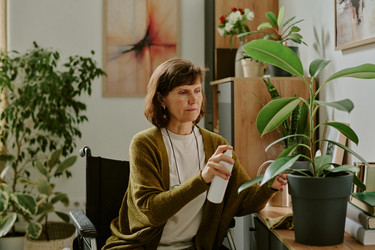 Similar image 21983275