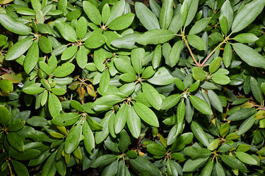 Similar image 21981633