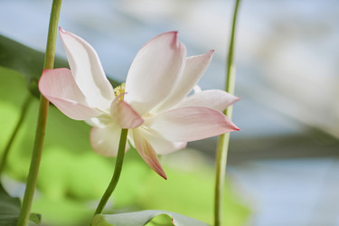 Similar image 21982751