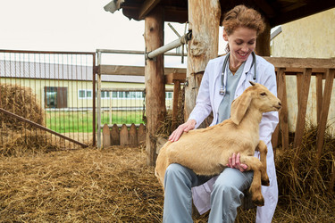 Similar image 21983755