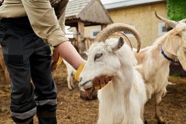 Similar image 21983750