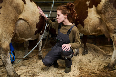 Similar image 21983801