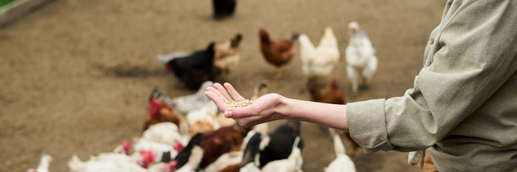 Similar image 21983804