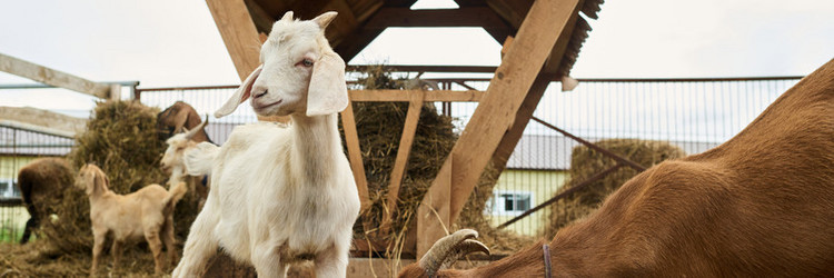 Similar image 21983860