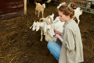 Similar image 21983849