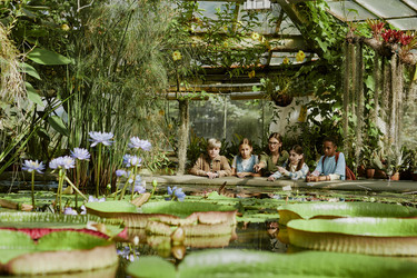 Similar image 21982750