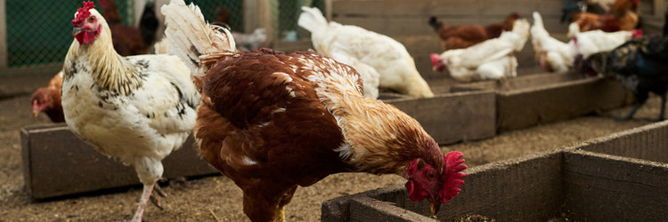 Similar image 21983820