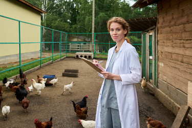 Similar image 21983720