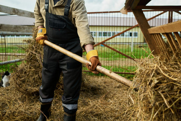 Similar image 21983850