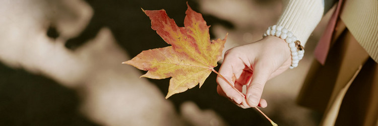 Similar image 21982767